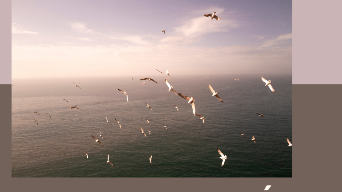 Post 1080 x 1080 Sitio Web (1)